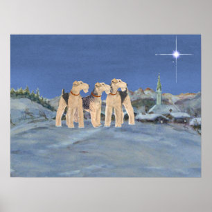 Póster Estrella navidad