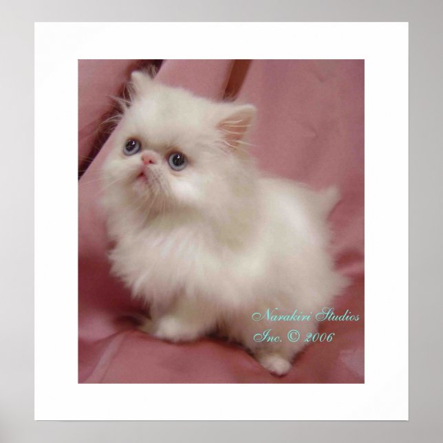 PÓSTER ESTRELLA PEQUEÑA DE TWINKLE (Frente)