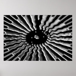 Póster Estrella plateada - Solar Plex