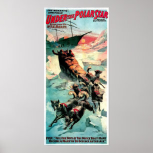 Póster Estrella polar - Imprimir
