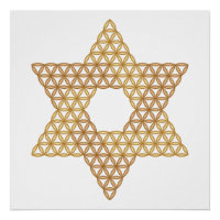 Estrella sagrada - Estrella de la vida, 04/3D-Br.