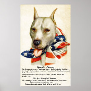 Póster Estrella vintage Bulldog 2 Poster
