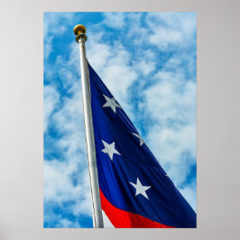 Póster Estrellas Blancas