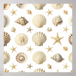 Póster Estrellas de Mar y Conchas de la Costa Patrón Perf