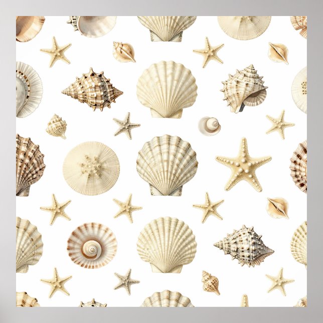 Póster Estrellas de Mar y Conchas de la Costa Patrón Perf (Frente)