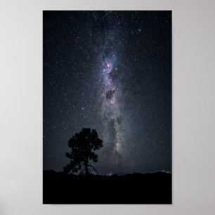 Póster estrellas de vía lechosa y un árbol