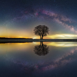 Póster Estrellas en reflexión con agua