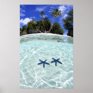 Póster Estrellas marinas, Islas rocosas, Palau 2