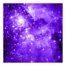 Estrellas moradas