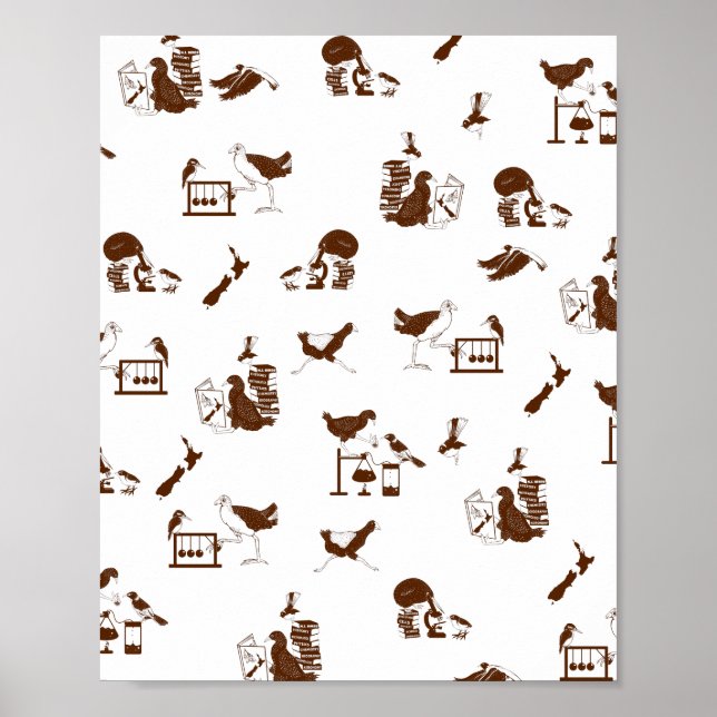 Póster Estudiantes de Ciencia Aves de Nueva Zelanda (Frente)