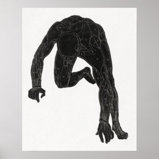 Póster Estudio anatómico del cuello de un hombre