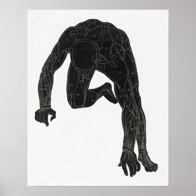 Póster Estudio anatómico del cuello de un hombre (Frente)