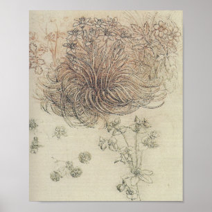 Póster Estudio botánico Leonardo