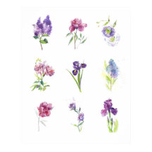 Estudio de Acuarela de Florales de Primavera en Pa