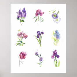 Póster Estudio de Acuarela de Florales de Primavera en Pa