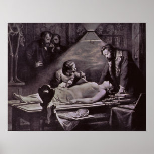 PÓSTER ESTUDIO DE ANATOMÍA DE 1888