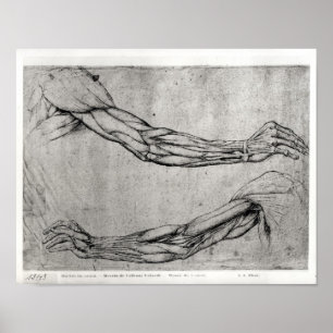 Póster Estudio de armas