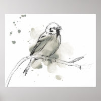 Estudio de aves gestural