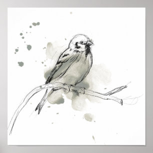 Póster Estudio de aves gestural