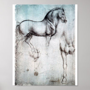 Póster Estudio de caballo, Leonardo da Vinci