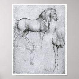 Póster Estudio de caballos, Leonardo Da Vinci
