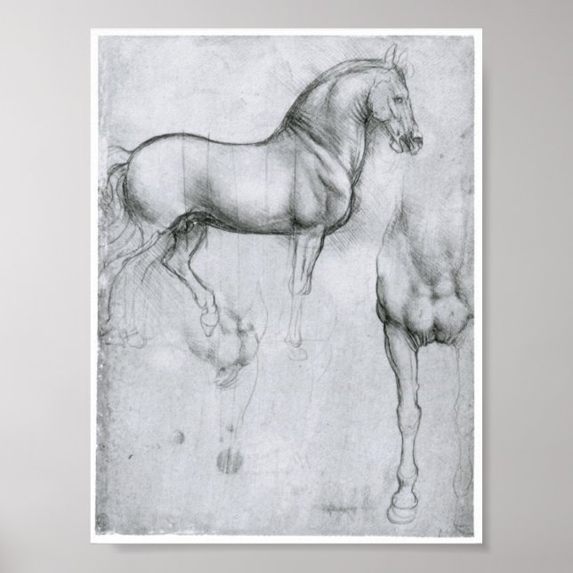 Póster Estudio de caballos, Leonardo Da Vinci (Frente)