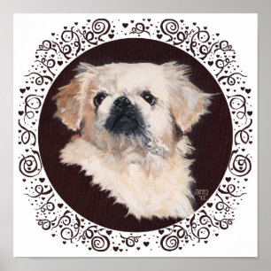 Póster Estudio de cabeza de Pekinés blanco