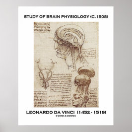 Póster Estudio De Fisiología Cerebral Leonardo da Vinci