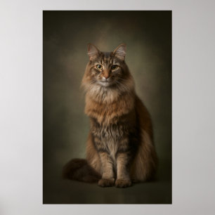 Póster Estudio de gato elegante retrato