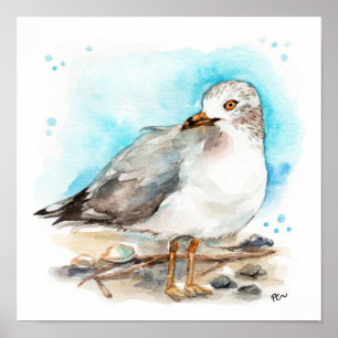 Póster Estudio de gaviota 2