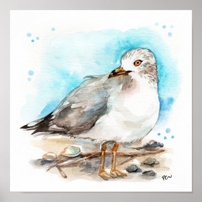 Póster Estudio de gaviota 2 (Frente)