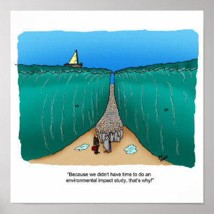 Póster Estudio de Impacto Ambiental Humor Poster