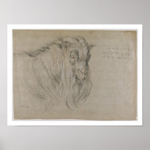 Póster Estudio de la cabeza de un Ram (negro, sanguino y 