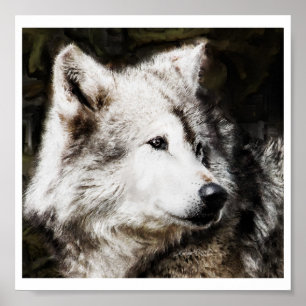 Póster Estudio de la cabeza del lobo