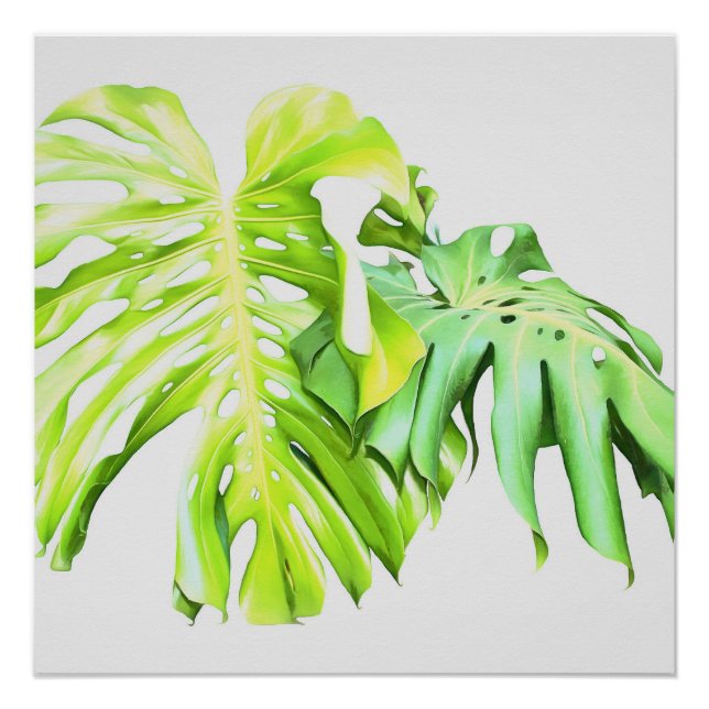 Póster Estudio de la hoja artística de Monstera (Anverso)