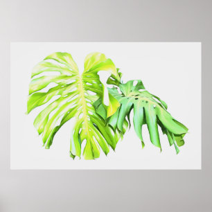 Póster Estudio de la hoja artística de Monstera