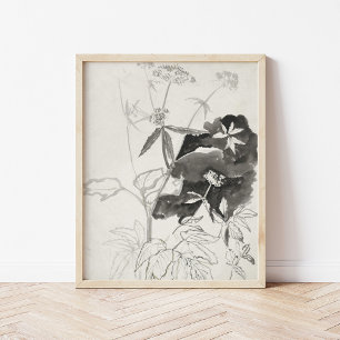 Póster Estudio de la planta   Carel Adolph Cachet