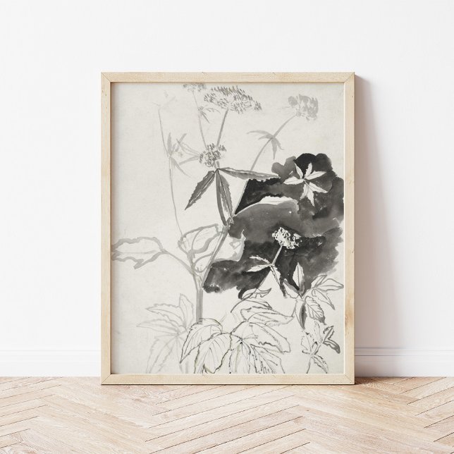 Póster Estudio de la planta | Carel Adolph Cachet (Subido por el creador)