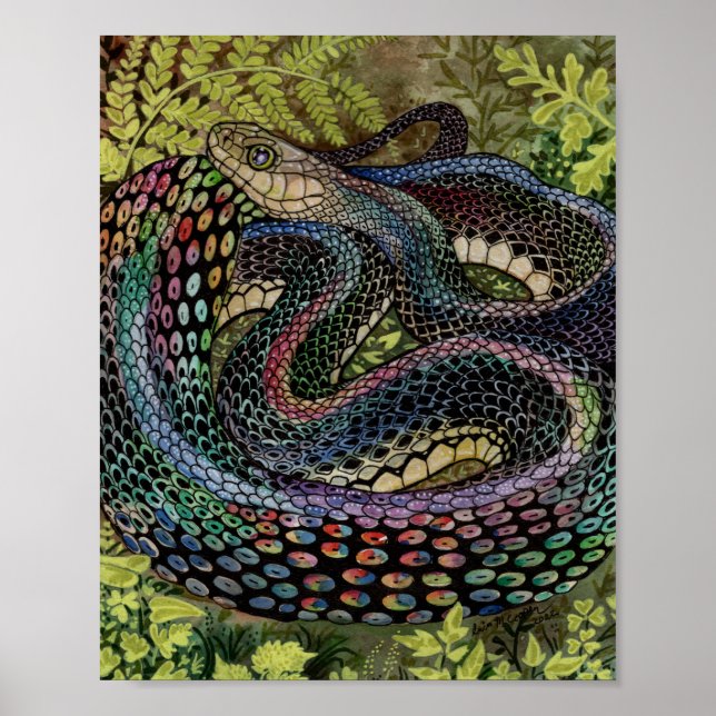Póster Estudio de la serpiente jardinera más allá de la p (Frente)