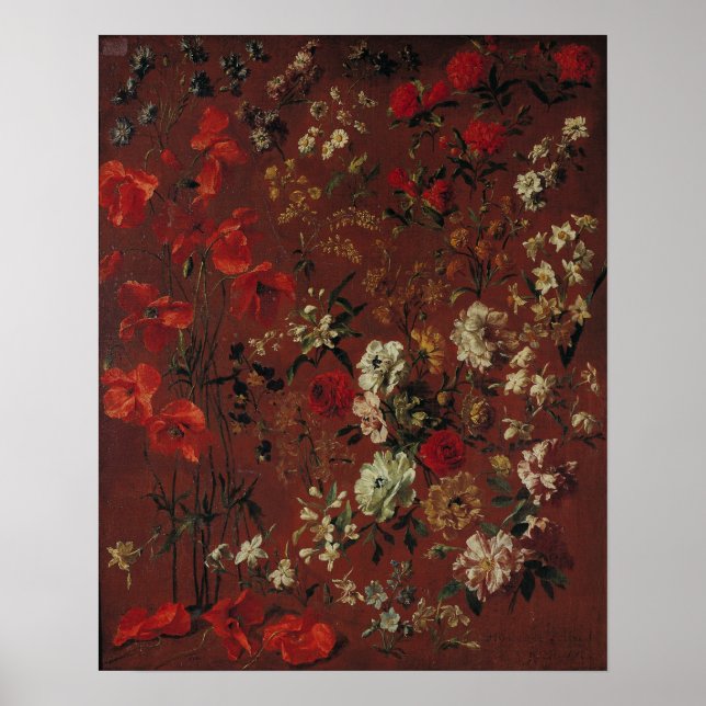 Póster Estudio de las flores, 1720 (Frente)