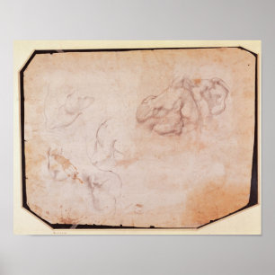 Póster Estudio de músculos