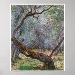 Póster Estudio de olivos, 1884