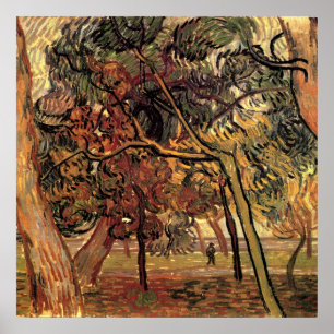 Póster Estudio de pinos por Vincent van Gogh