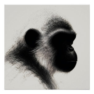 Póster Estudio de primate en carbón del observador silenc