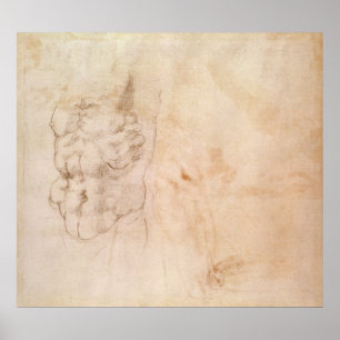 Póster Estudio de Torso