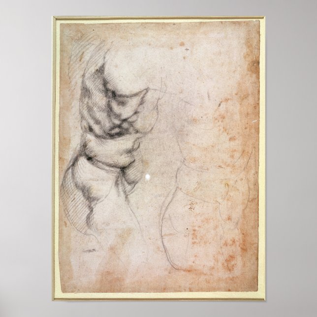 Póster Estudio de torso y nalga (Frente)