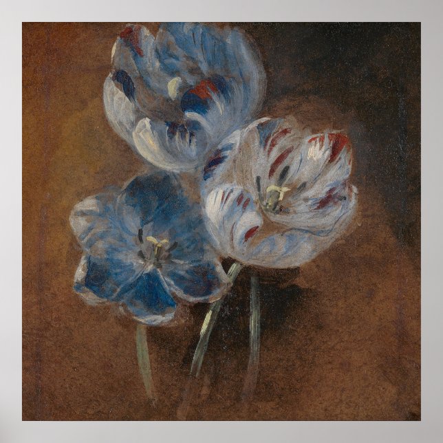 Póster Estudio de tres tulipanes de loro (Attrib. Constab (Frente)