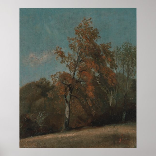 Póster Estudio de un árbol de ceniza - John Constable (Frente)