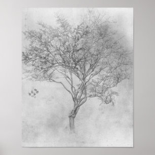 Póster Estudio de un árbol limón - 1859 - Poster
