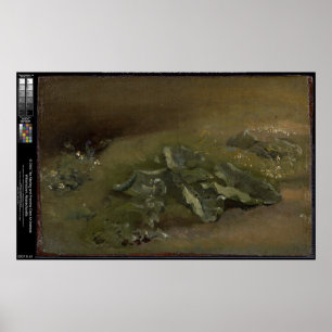 Póster Estudio de un Burdock - John Constable